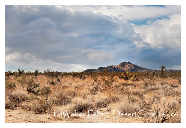 Johnson Valley