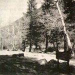 Cedar Springs Campground - Lake Silverwood