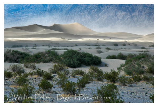 Mesquite Flats Sand Dunes, Death Valley