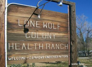 Lone Wolf Colony, Apple Valley, CA.
