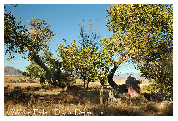 Ruins of Box 'S' Ranch in Lucerne Valley, Ca.