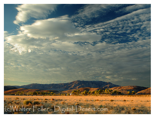 Old Woman Springs Ranch