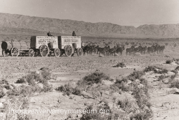 20 Mule Team Borax wagons