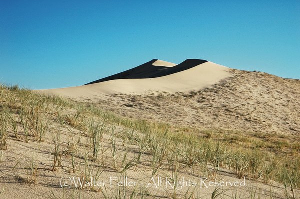 photo of Kelso Sand Dunes