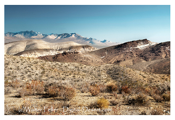 Mojave Desert scenery