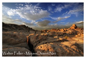Cougar Buttes - Lucerne Valley