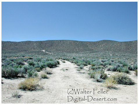 Downtown Skidoo. Death Valley National Park