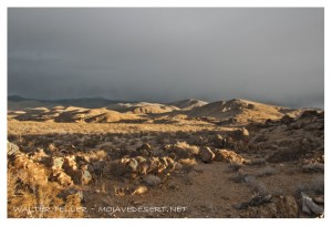 Gold in the hills of the Mojave Desert