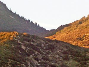 Devil's Canyon, San Bernardino National Forest, Old Spanish Trail