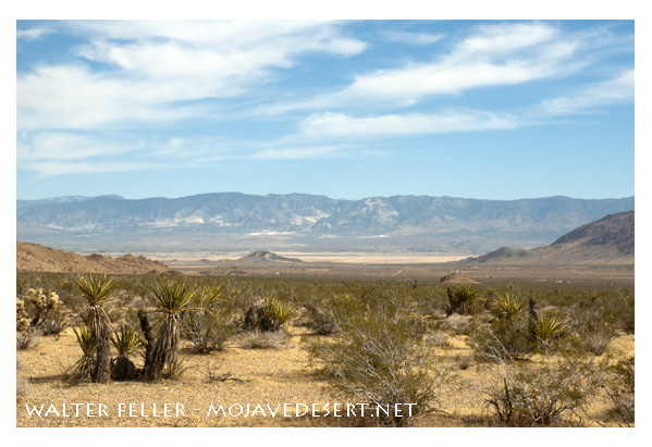 View of Lucerne Valley from North Valley