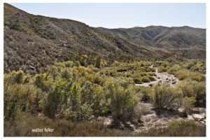 Little Horse Thief Canyon