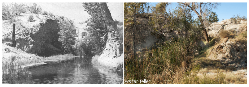 Cottonwood (Old Woman) Springs - 1959 (left) - 2010 (right)