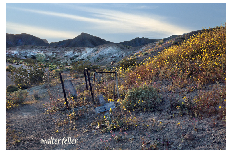 Shoshone Cemetery