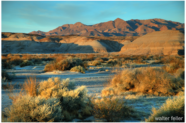 Tecopa