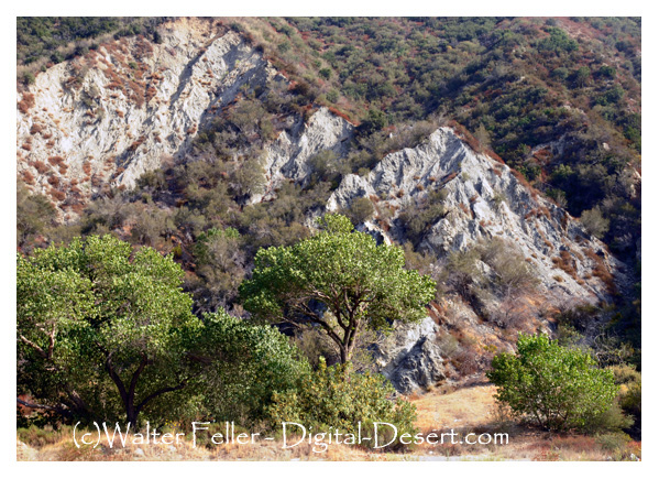 Blue Cut - Cajon Pass