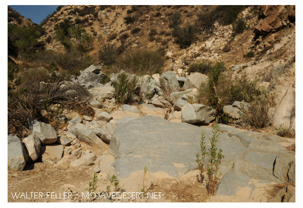 Crowder Canyon, Cajon Pass