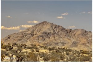 Stoddard Mountain