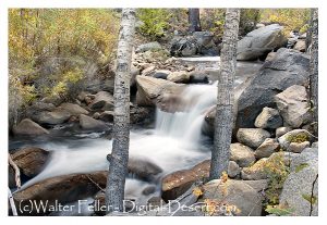 Bishop Creek, Eastern Sierra