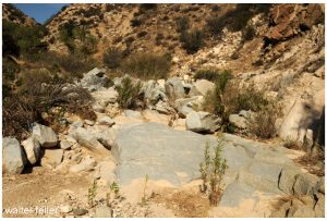 Crowder Canyon