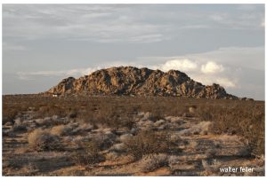 Lucerne Valley