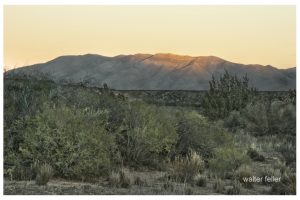Marianas (Ord Mountains)