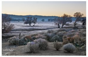 Kemper Campbell / Verde Ranch