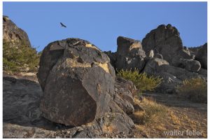 Sawtooth campground, Stoddard Ridge