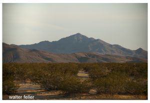 Stoddard Mountain