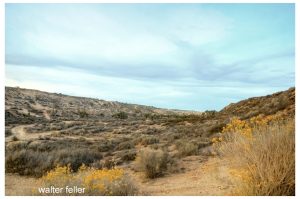 Oro Grande wash, Salt Lake Rd., old Spanish trail, wagon road, pioneer trail