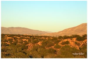 View over Hesperia to Marianas Ranchos