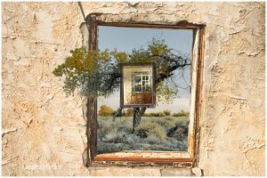 Surrealism