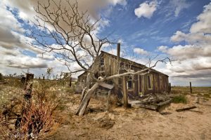 732-jackrabbit-ranch-c0724-v5s