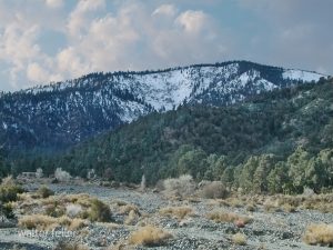Wrightwood - Sheep Creek